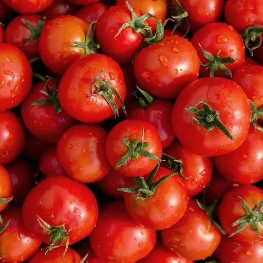 Shrieve Chemical - Leading Chemical Supplier and Distributor